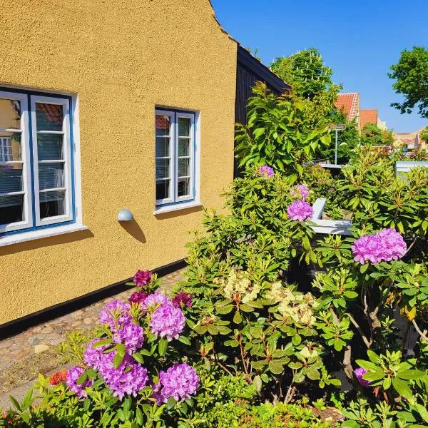 Tinghus Flat, hotel v destinaci Skagen