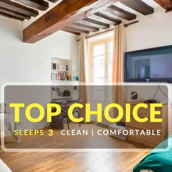 Charming Studio Under the Roofs of Paris