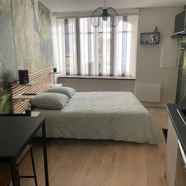 Studio laita – hotel w mieście Quimperlé
