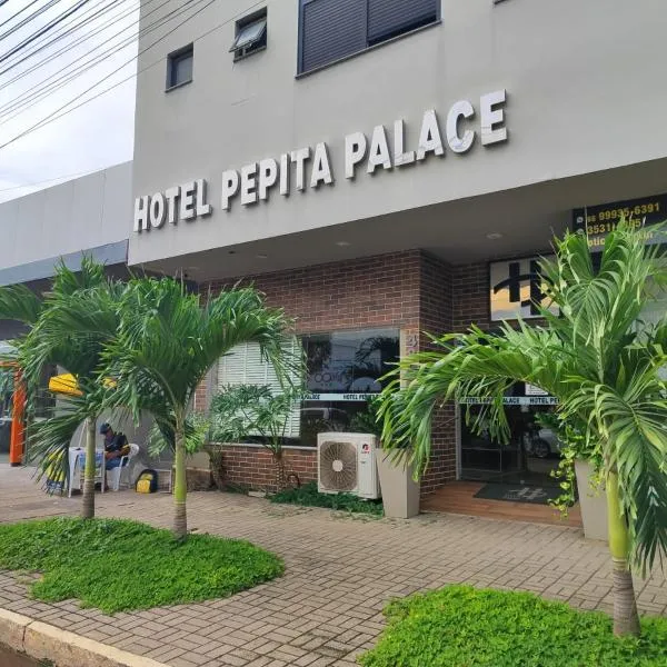 Hotel Pepita Palace, hotel a Sinop