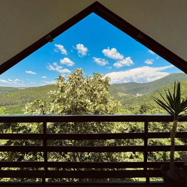 Villa Buena, hotel v destinaci Despotovac