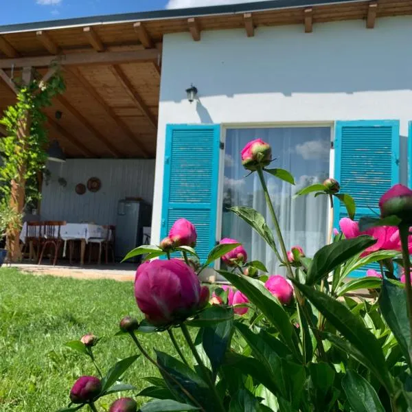 Backyard Cottage, hotel v destinaci Răhău