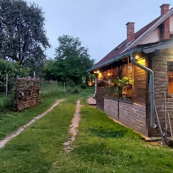 Farmica, Bed&Breakfast, Bazen izdvojen nekoliko minuta hoda, hotell i Ðurđevac