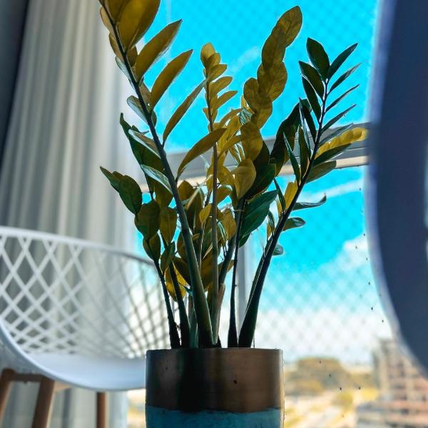 Apartamento Piscina Sauna Ótima Localização Conforto Total Locação de Temporada - Foto 4