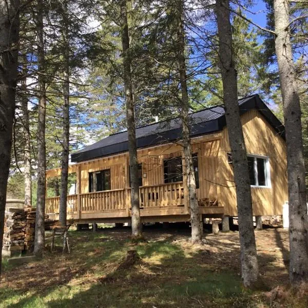 Mont Megantic - Chalet Le Madison, hotel em La Patrie