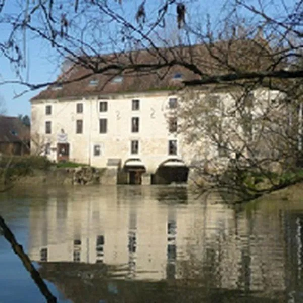 Moulin de Bourgchateau, hotell i Louhans