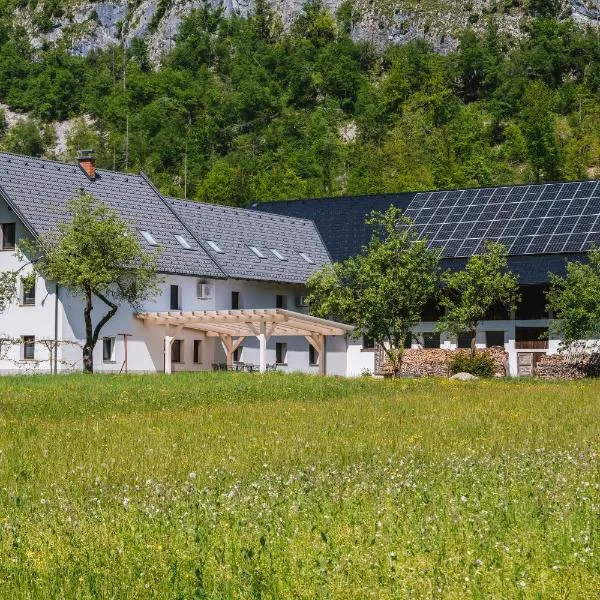 Domačija Log v Bohinju, hotel v destinaci Bohinjska Bistrica