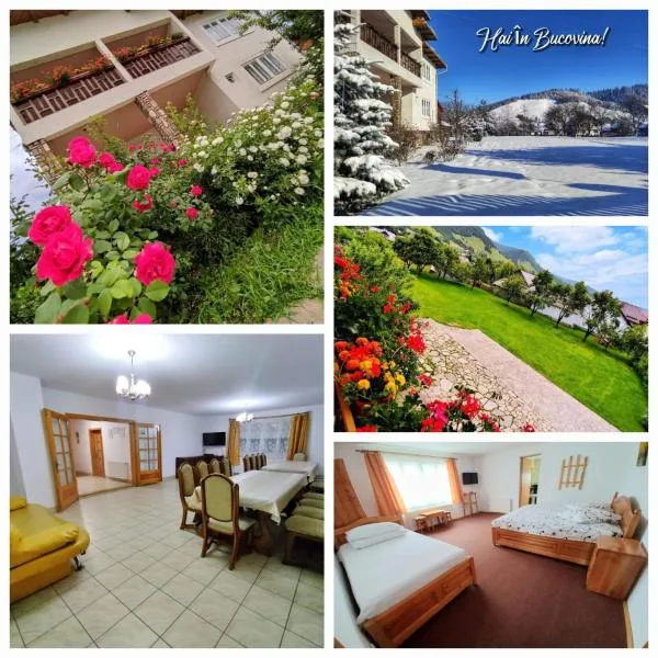 Pensiunea Cristiana-Bucovina, hotel in Mănăstirea Humorului