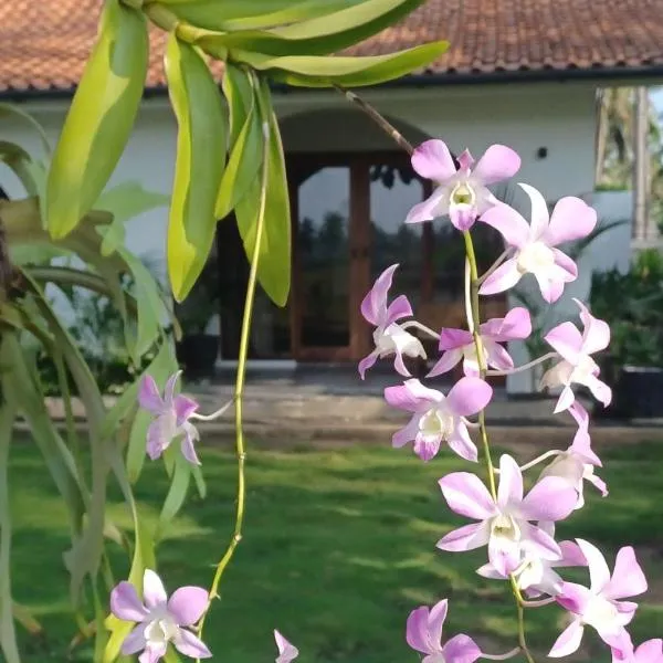 Rumah Markisa Batukaras, hotel v destinaci Batukaras