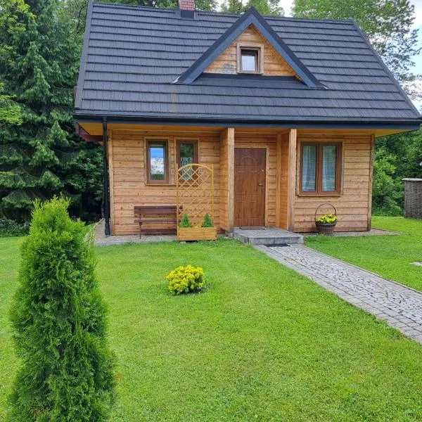 U Eskulapa Bieszczady، فندق في لوتوويسكا