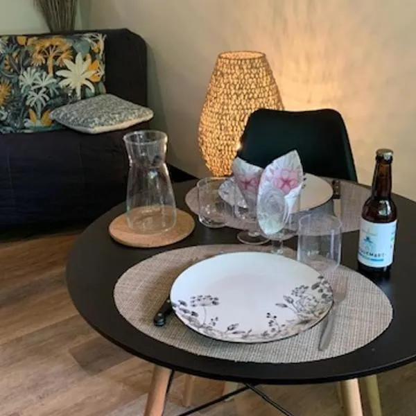 Studio avec parking privé en hyper centre – hotel w mieście Romans-sur-Isère