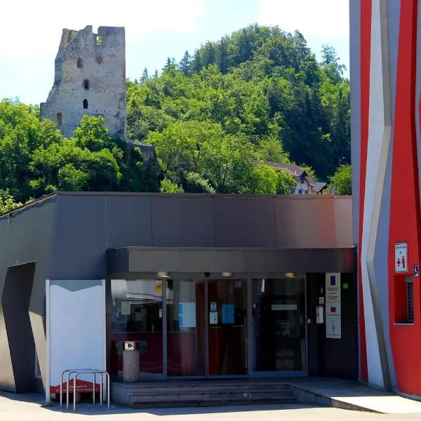 Hostel Velenje, hotel v destinaci Velenje