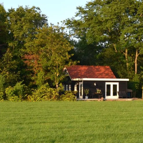 PRIVÉ IN EEN BOSRIJKE OMGEVING Welkom bij gastenverblijf het ontsnapte schaap in Jubbega, hotell i Jubbega-Schurega