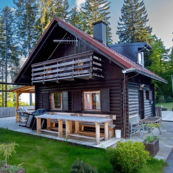 Cabin Storzek、ホコ・ポホリェのホテル