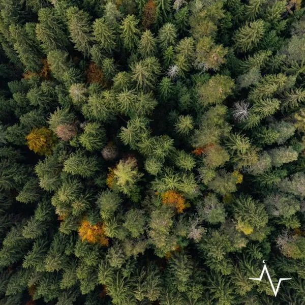 Placàt Eco Camping nel bosco, hotel v destinaci Bossico