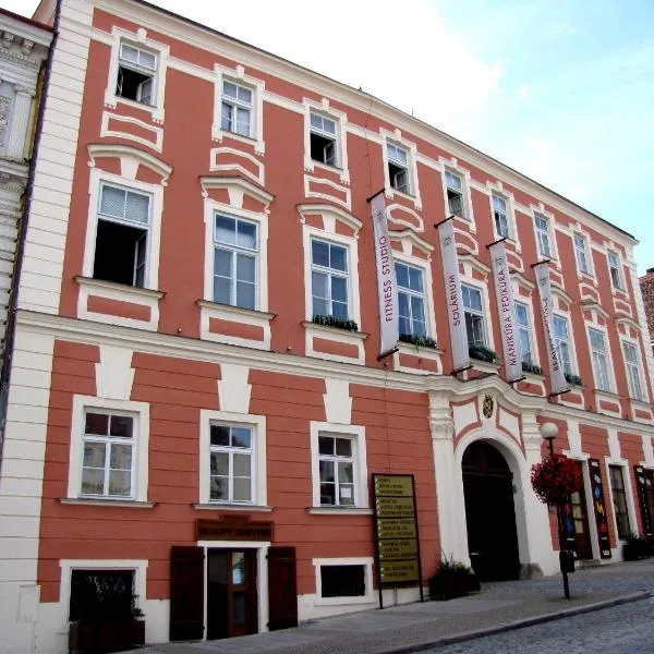 Palác Daun - Studio Apartments, hotel in Plenkovice