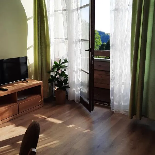 Apartmán PERLA 28, Říčky, hotel v destinaci Říčky