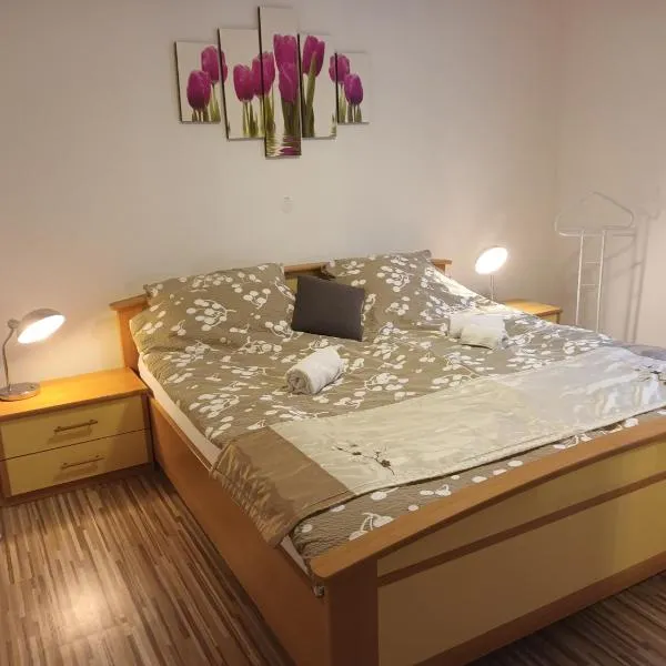 Four Season Apartment Irene, hotel in Eisenerz