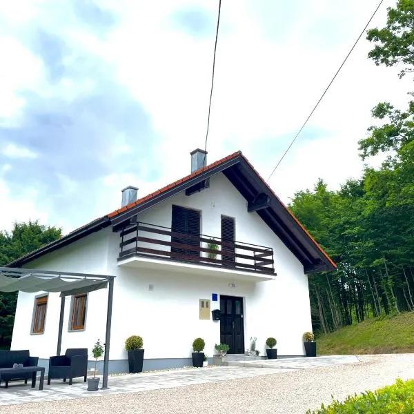 Green Oasis, hotel in Donji Furjan