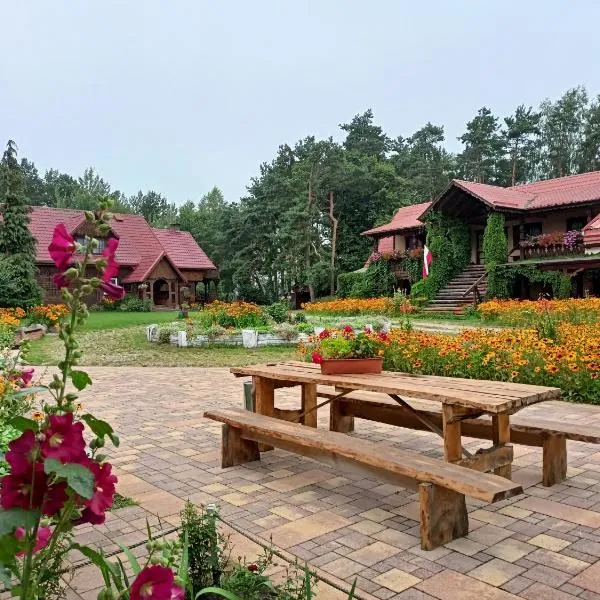 Sosenka, hotel in Popiołki