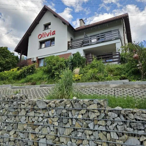 Willa Olivia, hotel ve Visle