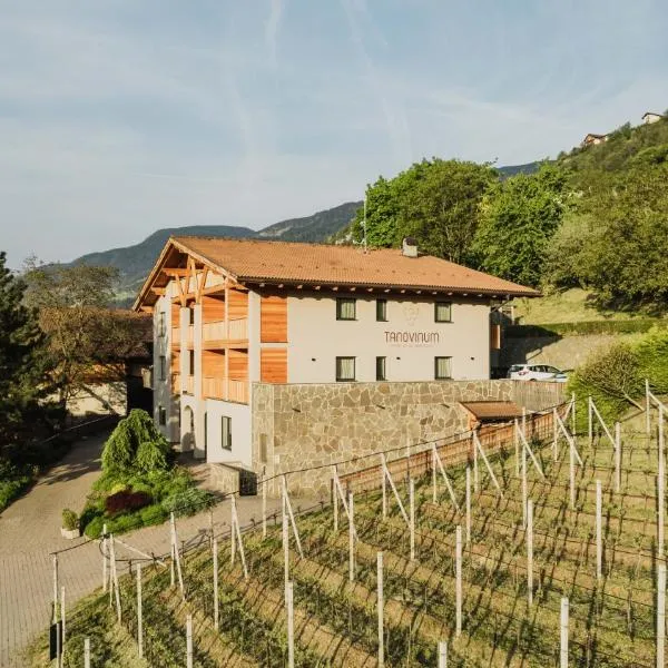 TANOVINUM Apartments, hotel in Villandro