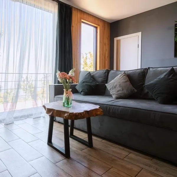 Alma house - Grey, hotel in Almaty