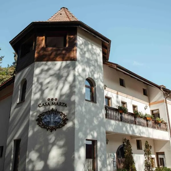 Casa Marta, hotel in Drăguş