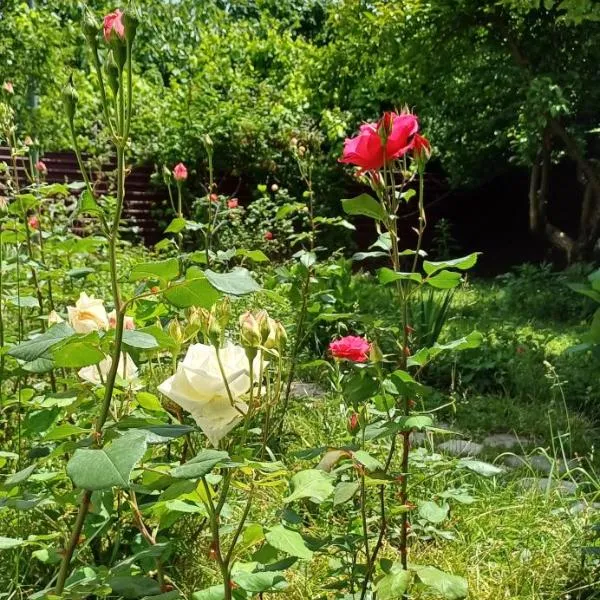 Gabala Confort House, hotel v destinaci Gabala