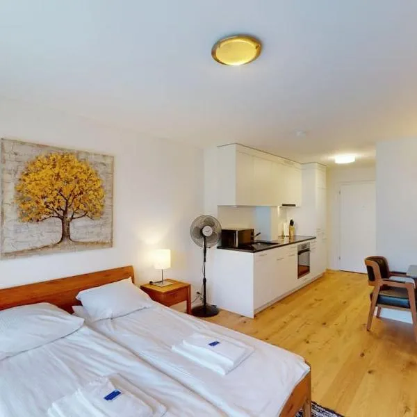 Modern studio - Sun 5, hotel i Zürich