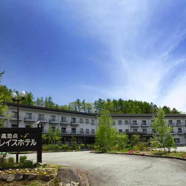 Yatsugatake Grace Hotel, hotel en Minamimaki