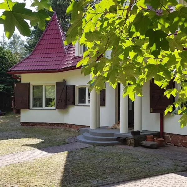 Pluski Dom PROJEKT PLUSKI nad Jeziorem Pluszne, hotel en Pluski