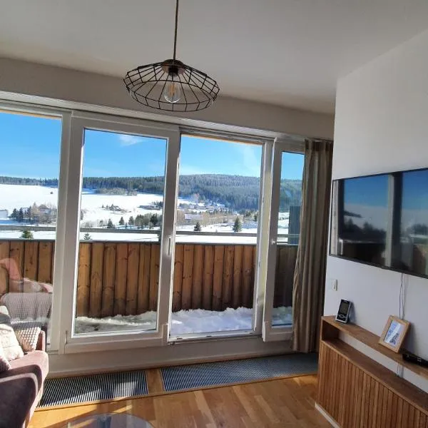 Mezonetový apartmán se dvéma balkóny a výhledem, hotel v Loučné pod Klínovcem