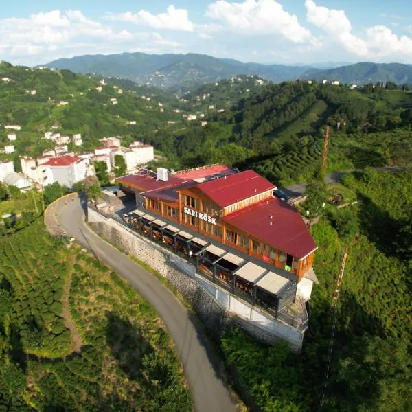 Sarı Köşk Hotel, hotel v destinaci Rize