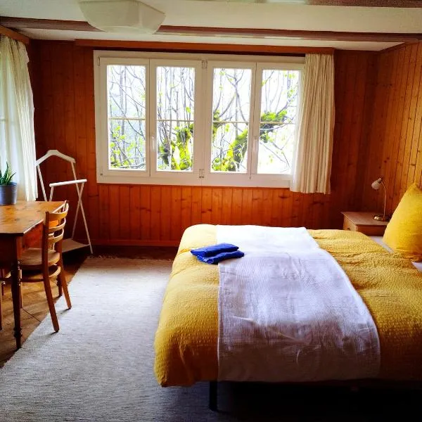 Sonnenhof Wengen - First Hotel of Wengen, hotel a Wengen