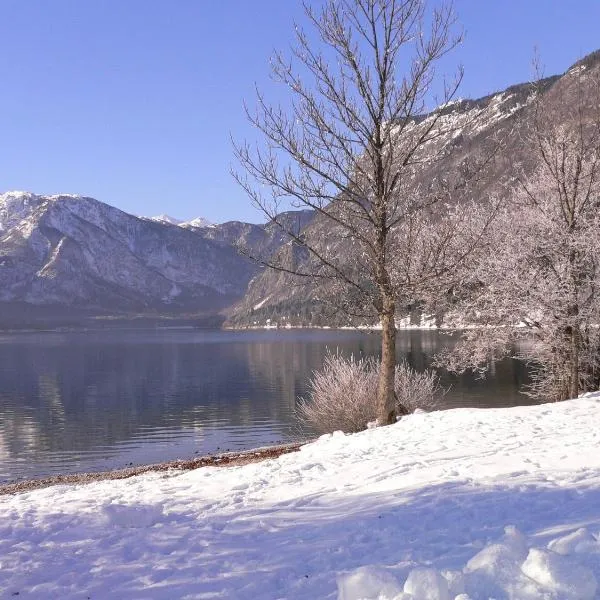 Apartments Cesar, hotel a Bohinj