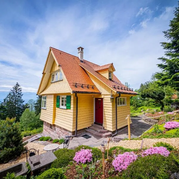 Sonnenhäusle - Natur. Fernblick. Panorama-Sauna., hotel v destinaci Sasbachwalden
