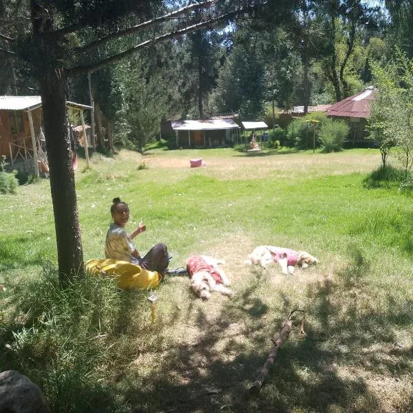 Tony's House Eco Hostel, hotel em Huaraz