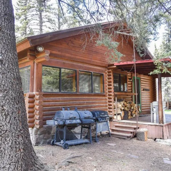 Bear Bait Cabin In Upper Valley With High Speed Wifi, hotel v destinaci Red River