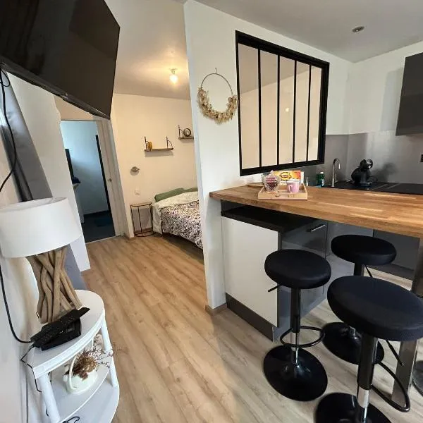 Studio CF Cosy Proche Gare, Centre Ville et Toutes Commodites – hotel w mieście Sainte-Savine