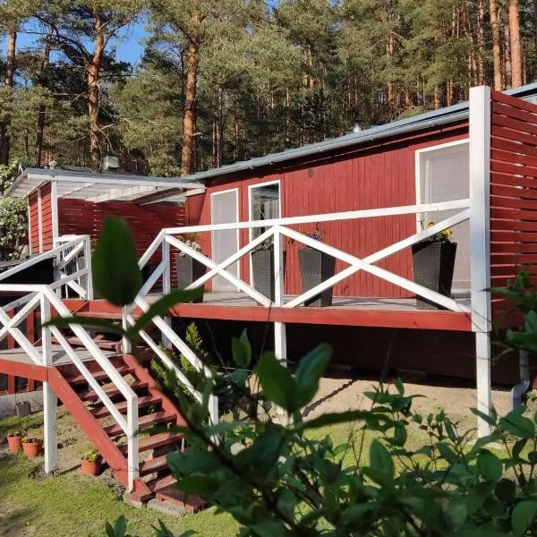 Holiday home near sea beach & pine forest, хотел в Рига