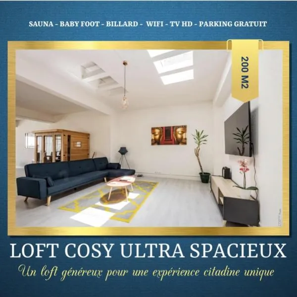 LOFT COSY - HYPERCENTRE - SAUNA - 200m2 - WIFI, hotel v destinaci Graulhet