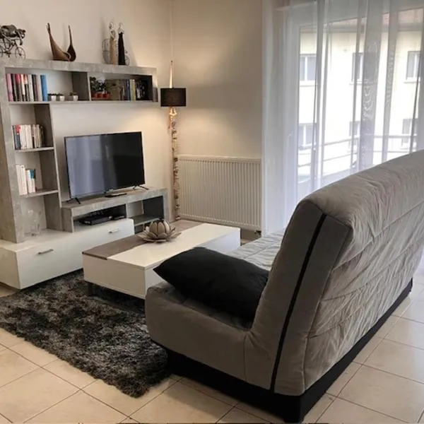 Cocon sur cour, hotel v destinaci Thonon-les-Bains