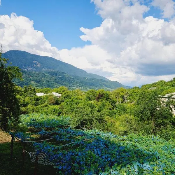 Guesthouse Turo, Hotel in Ambrolauri