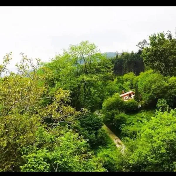 Basoan etxea, hotel Sopuertában