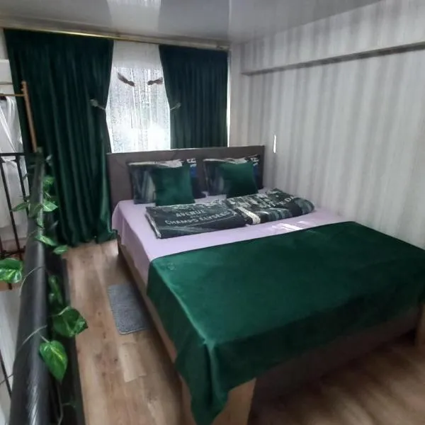 Marie apartament, hotel in Mskhaldidi
