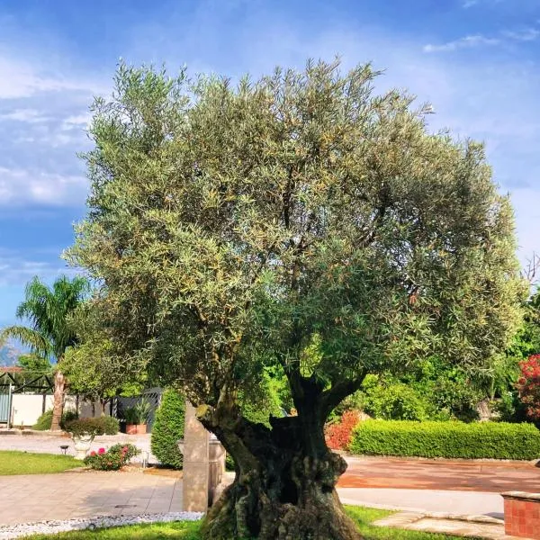 Hotel Ginevra, готель у місті San Gennaro Vesuviano