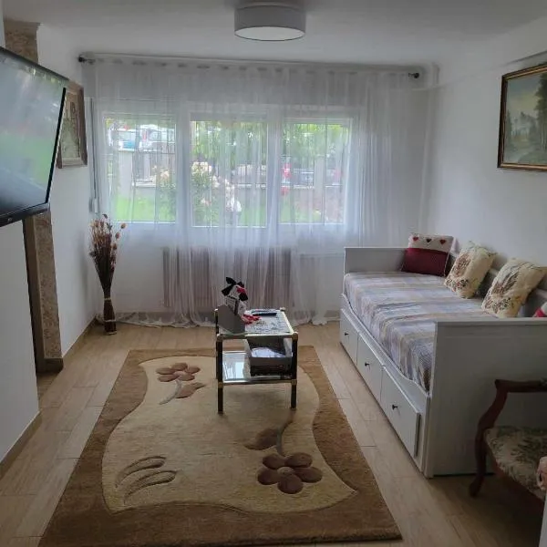 Appartement Entre Strasbourg Et Colmar - Proche d'Europa Park, hotel in Sermersheim