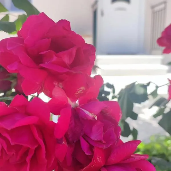 Olivia's house, hotel in Kalogoniá