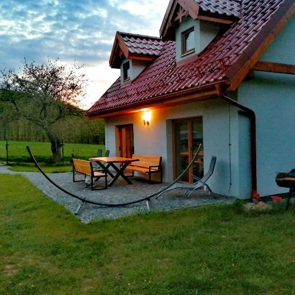 Domek w Górach Sowich, hotel in Pieszyce